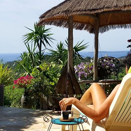Nouveau ! Chambre D'Hote Insolite Privee " Coeurs De Pirates A Bali En Provence" Spa Sauna Massages Dans Cadre Exotique D'Amenagements Exterieurs D'Exception Ete Comme Hiver Bienvenue !!! Cavalaire-sur-Mer Exterior foto