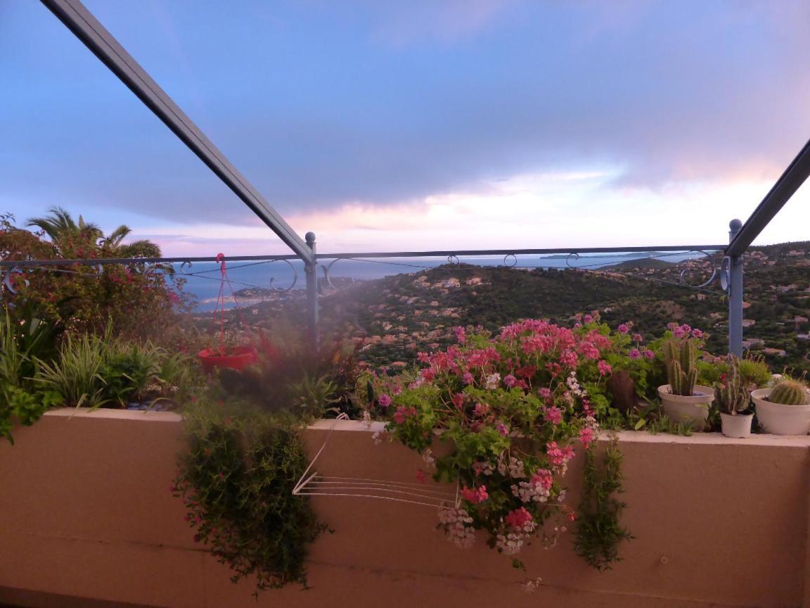 Nouveau ! Chambre D'Hote Insolite Privee " Coeurs De Pirates A Bali En Provence" Spa Sauna Massages Dans Cadre Exotique D'Amenagements Exterieurs D'Exception Ete Comme Hiver Bienvenue !!! Cavalaire-sur-Mer Exterior foto