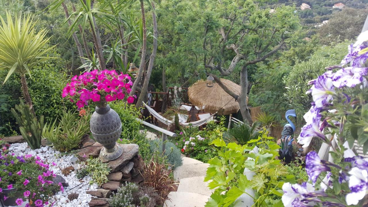 Nouveau ! Chambre D'Hote Insolite Privee " Coeurs De Pirates A Bali En Provence" Spa Sauna Massages Dans Cadre Exotique D'Amenagements Exterieurs D'Exception Ete Comme Hiver Bienvenue !!! Cavalaire-sur-Mer Exterior foto